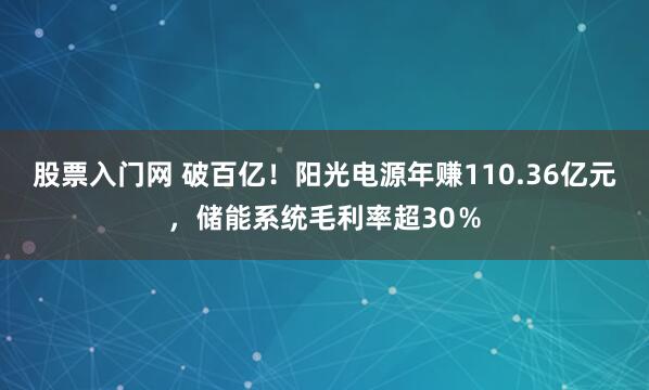 股票入门网 破百亿！阳光电源年赚110.36亿元，储能系统毛利率超30％